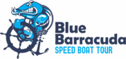 Blue Barracuda